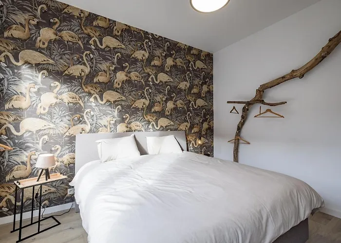 Gites In Huy - Appartements Chaleureux Dans Le Centre De Huy